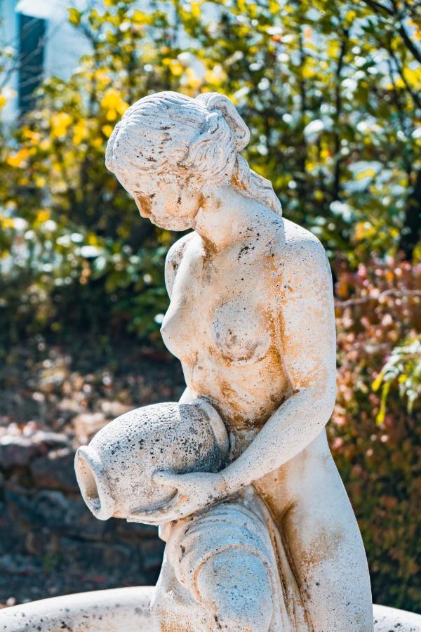 Le Mas Des Amandiers Saint-Paul-de-Vence Luaran gambar